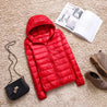 Ultra - light Thin Down Jacket - Nuvéra Atelier